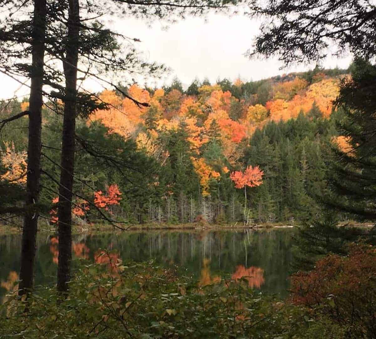 New England fall scene.