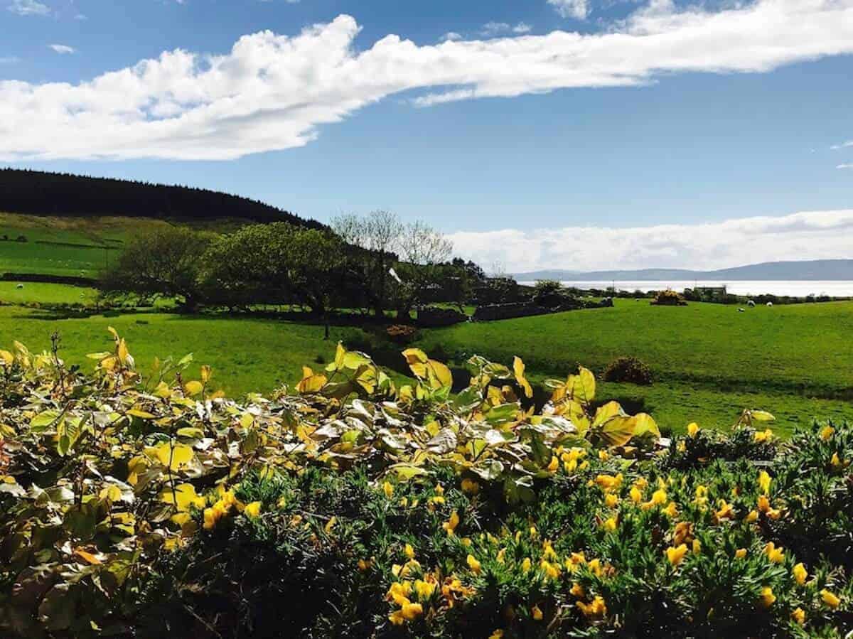 Isle of Arran landscape of rolling green hills with sea in background.