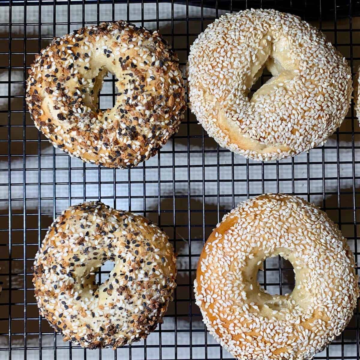 Sourdough bagels on a cooling rack from overhead.