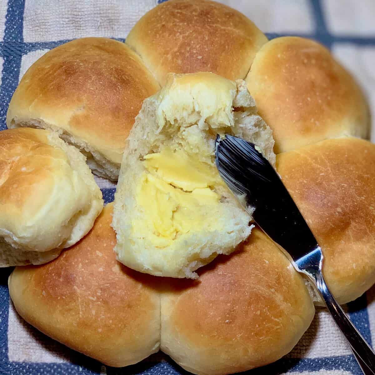 Sourdough Dinner Rolls on a checkered towel with one split open and buttered with butter knife