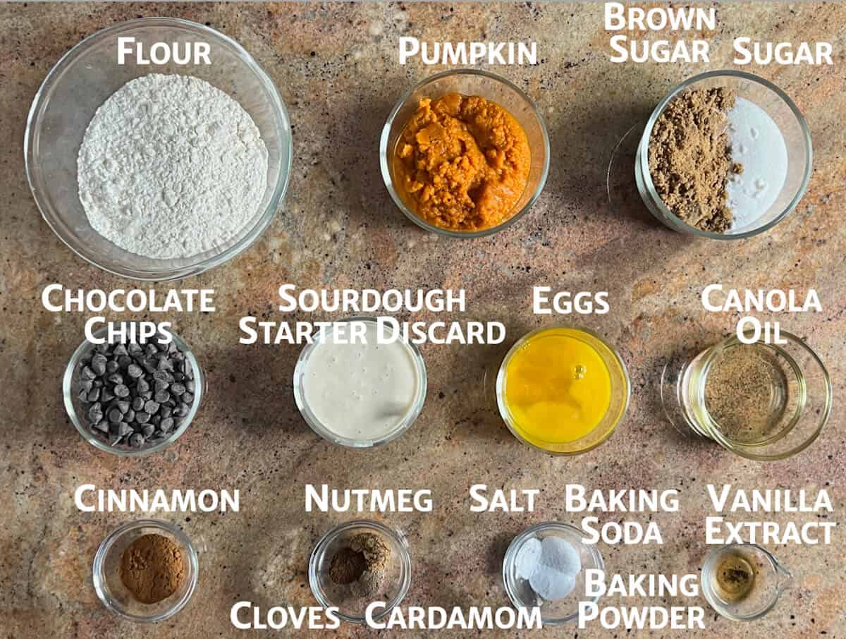 Sourdough pumpkin cake ingredients portioned into glass bowls.