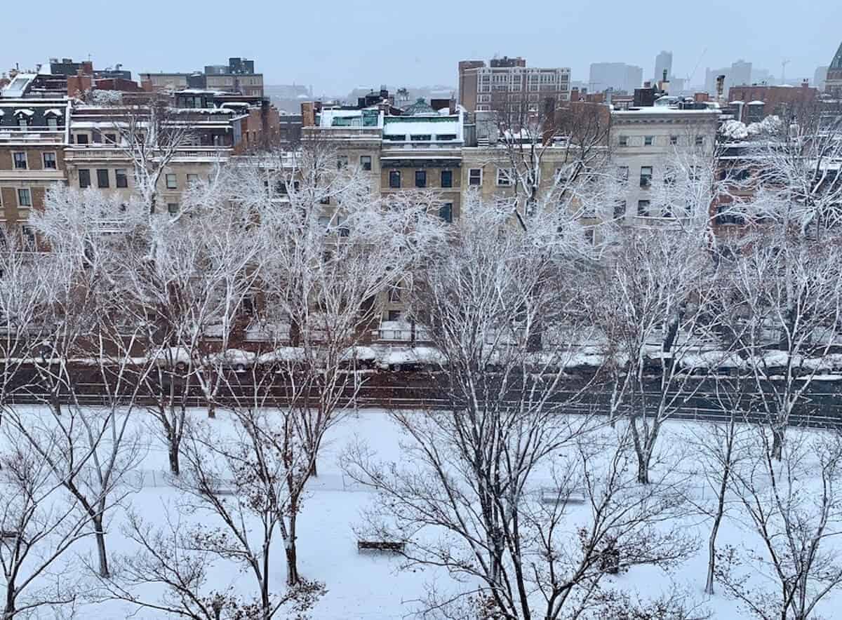 Snowy trees and buildings from a 7th story window.