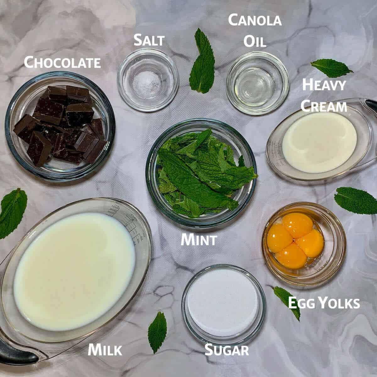 Chocolate Mint Chip gelato ingredients portioned in glass bowls from overhead.