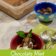 Chocolate Mint Chip gelato in bowls on a green spotted towel next to 2 spoons with gelato tub behind Pinterest banner..