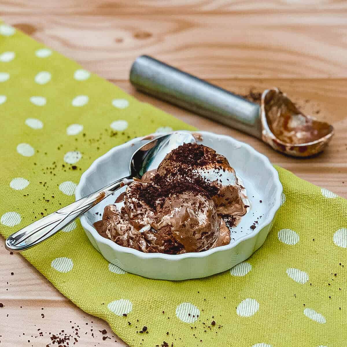 Chocolate Mint Marshmallow Ice Cream in bowl with spoon on a green towel.