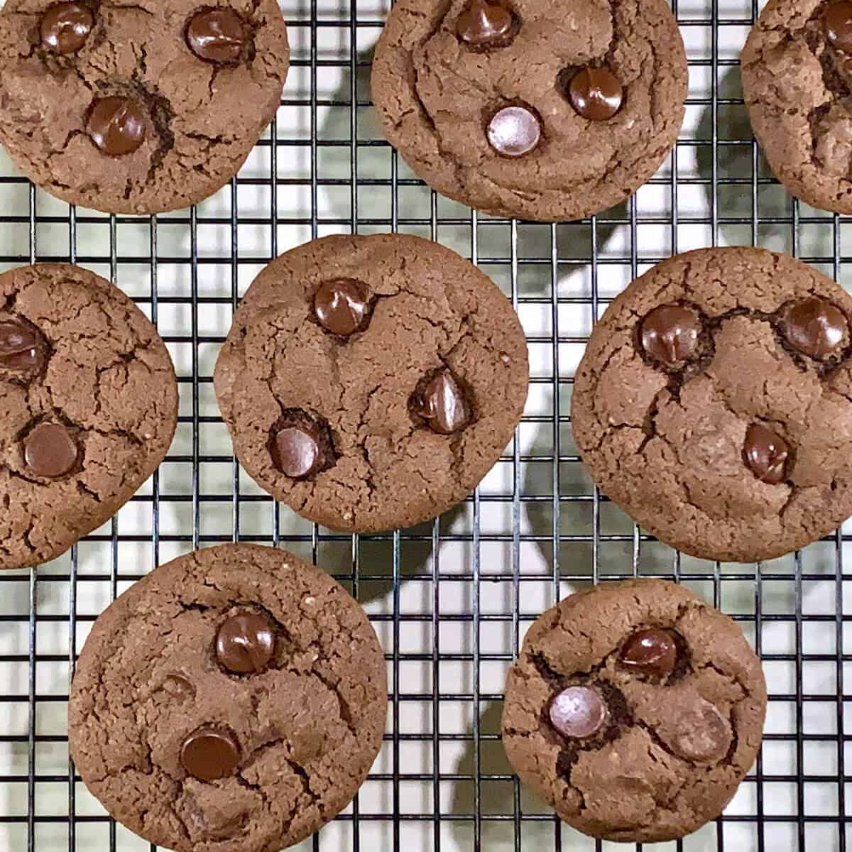 Chocolate Chocolate Chip cookies closeup on cooling rack from overhead