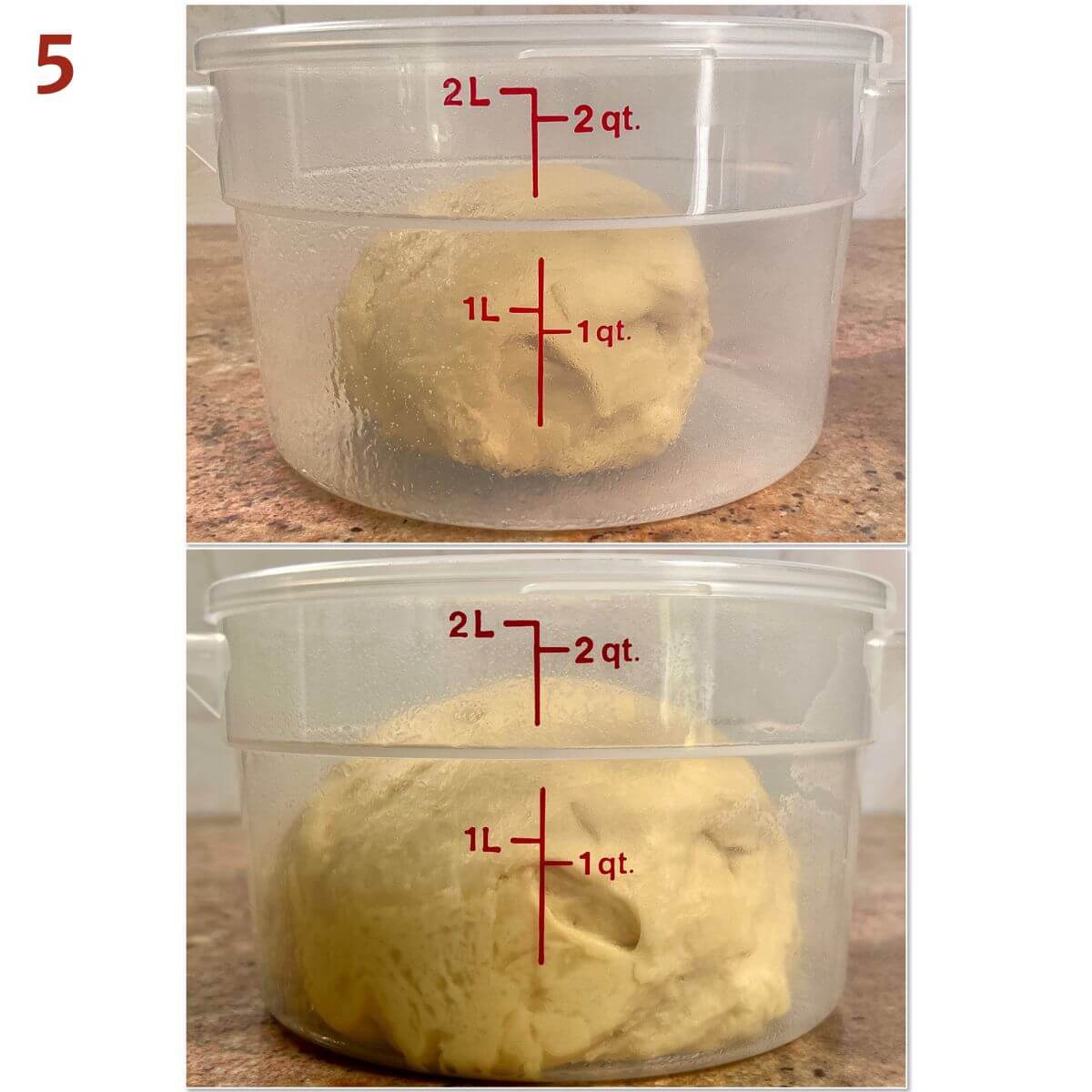 Collage of before and after the brioche dough's first rise in a plastic bucket.