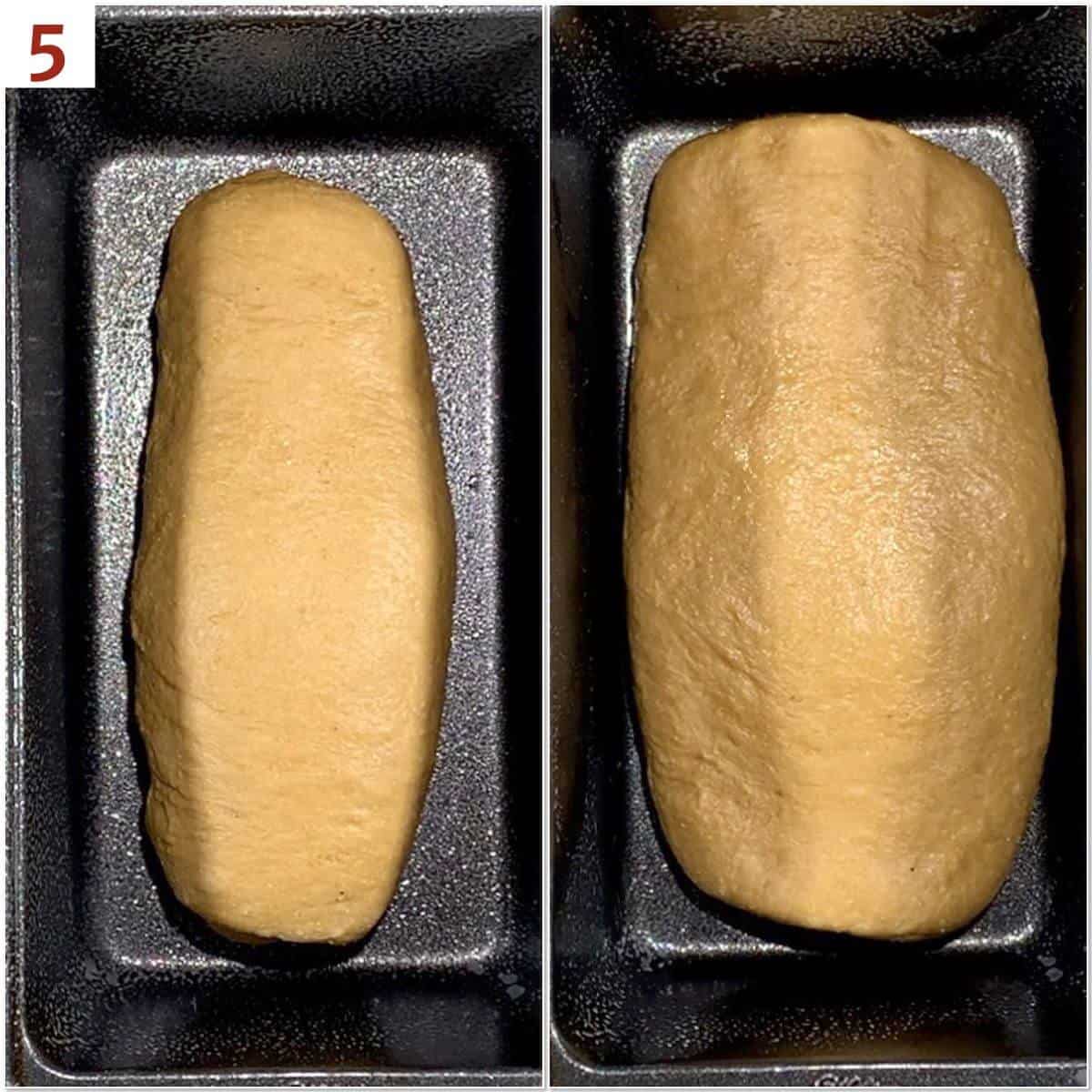 Colloage of shaped bread dough in loaf pan before & after rising.