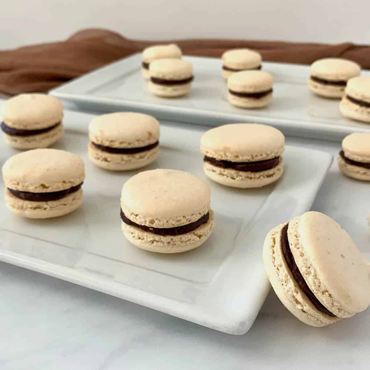 Italian Meringue Macarons plated on 2 white plates.