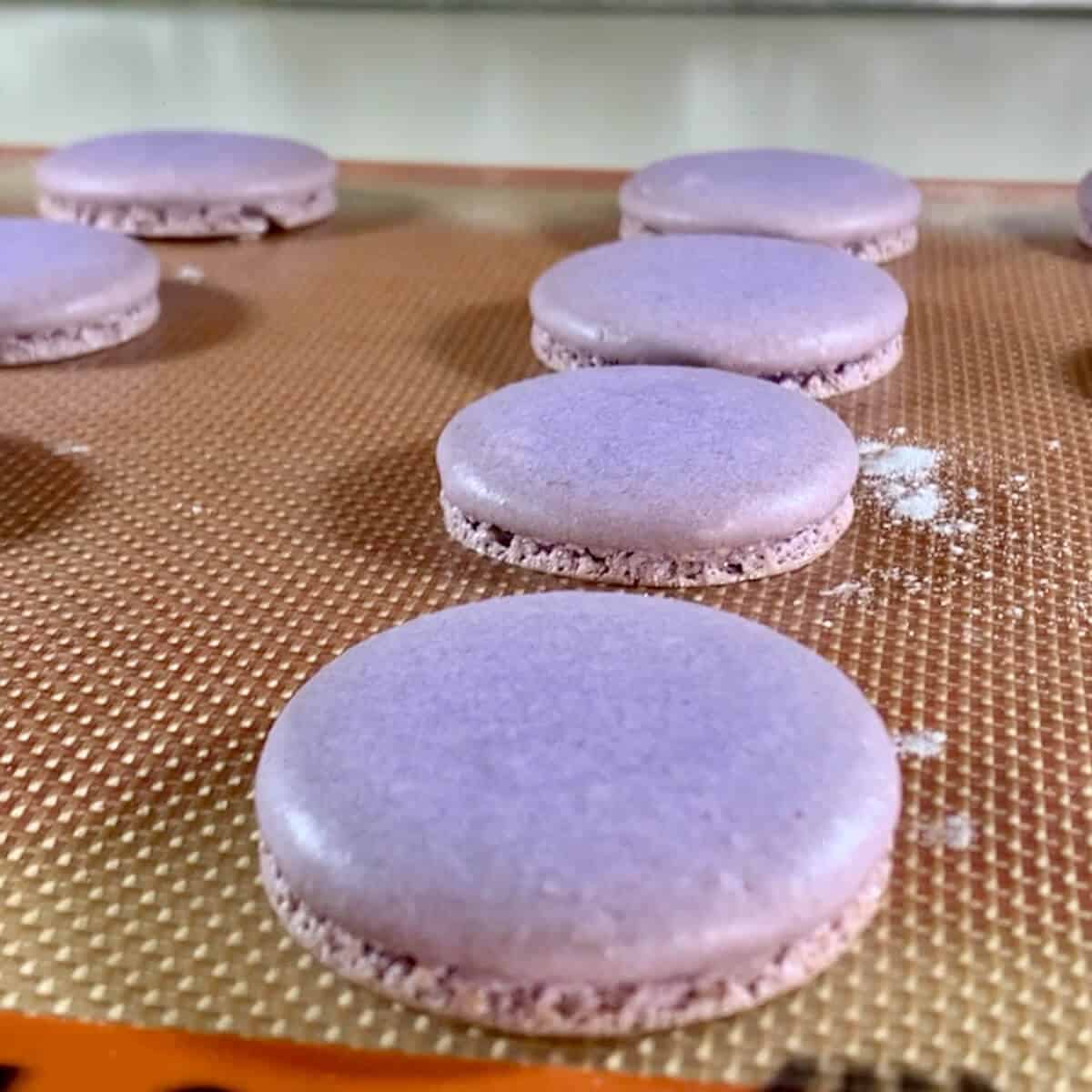 Closeup of purple french macarons on a silpat lined baking pan after baking.