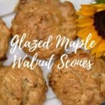 Maple Walnut Scones on a white tray with a sunflower on a blue background from overhead Pinterest banner.