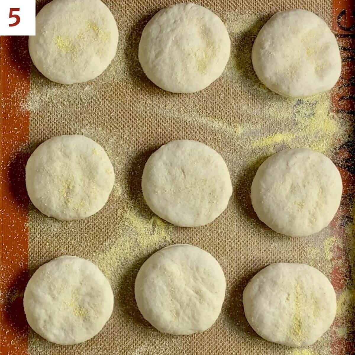 English muffin dough rounds on a baking pan sprinkled with cornmeal.