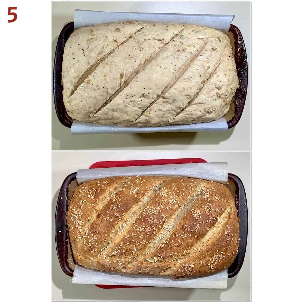 Collage of shaped multigrain bread dough before & after baking.