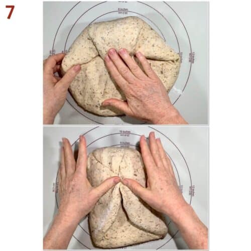 Multigrain Sourdough Discard Bread Scotch Scones Multigrain Sourdough Discard Bread Scotch Scones