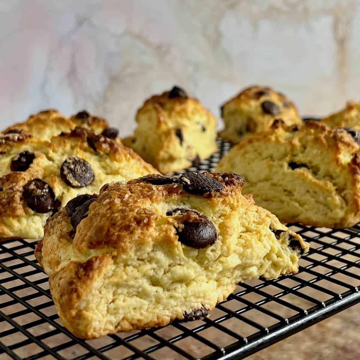 Baked chocolate chip scones on a cooling rack.