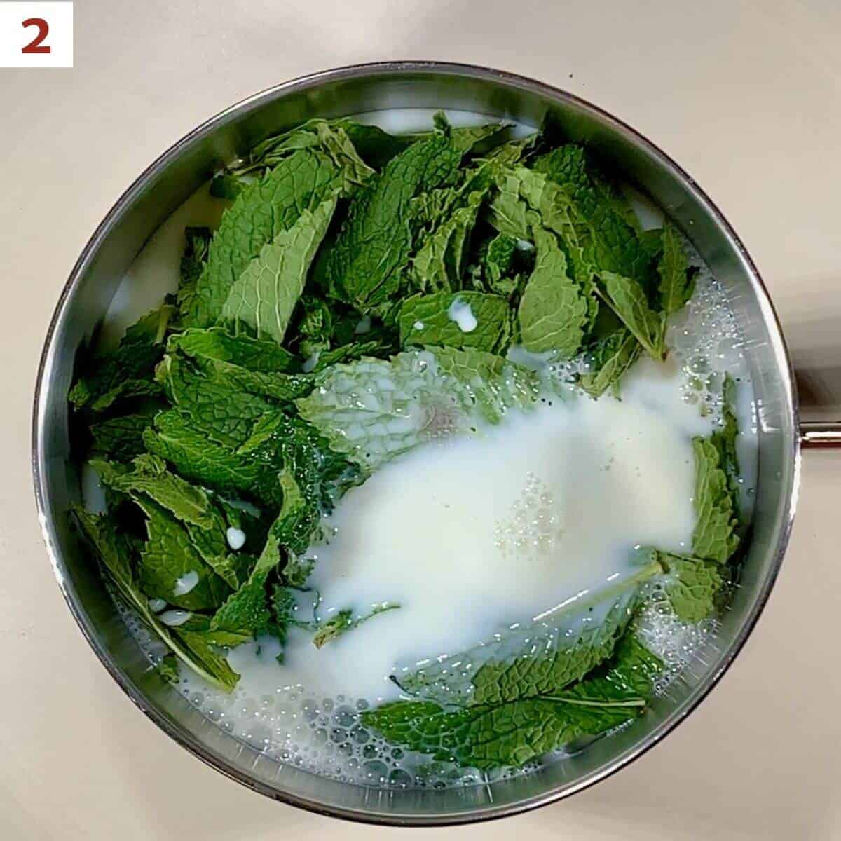 Milk & mint leaves in a saucepan.