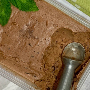 Chocolate Mint Chip gelato in a tub from overhead.