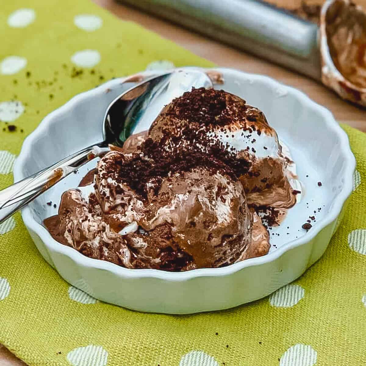 Chocolate Mint Marshmallow Ice Cream in bowl with spoon on a green towel.