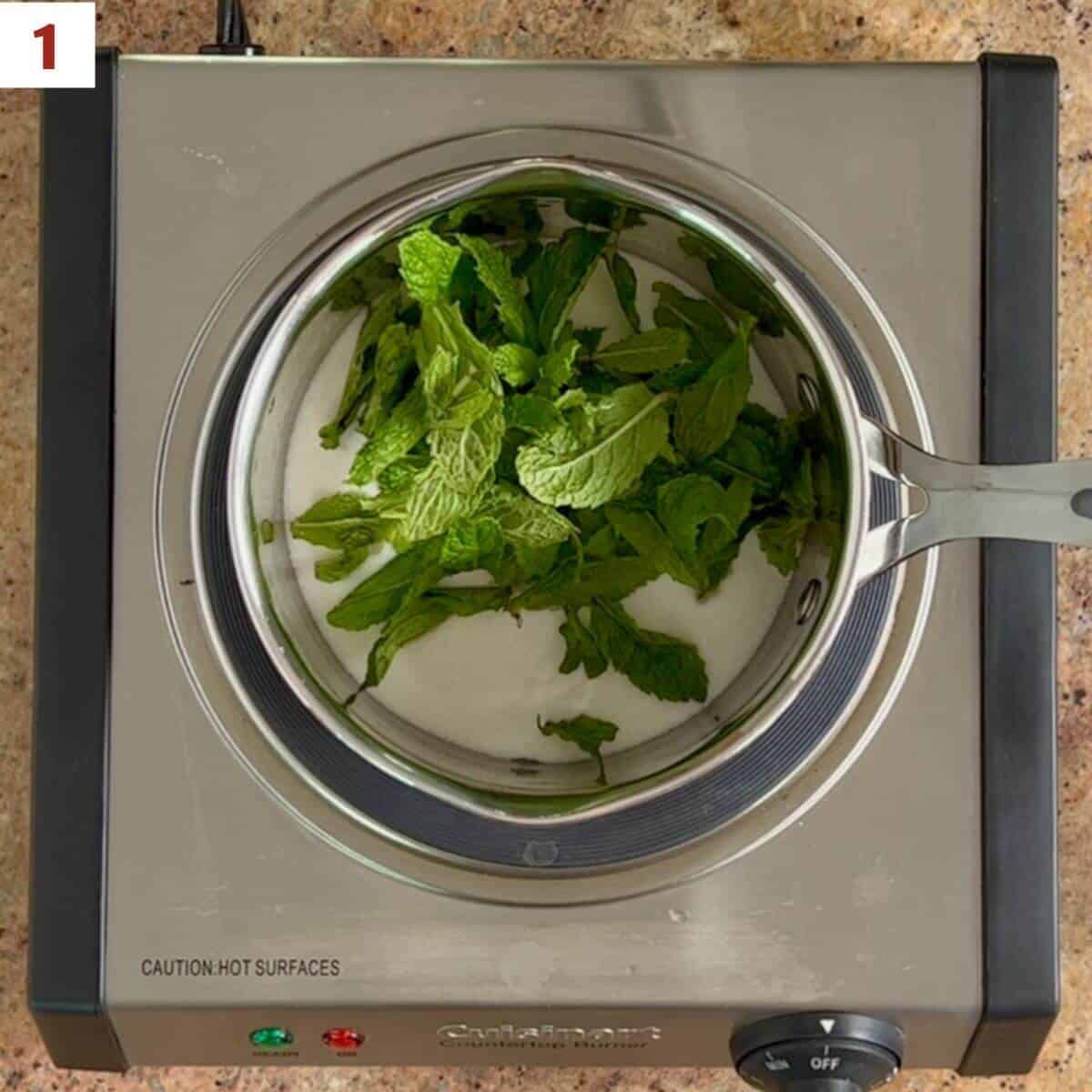 Mint & sugar in a saucepan on a hot plate.