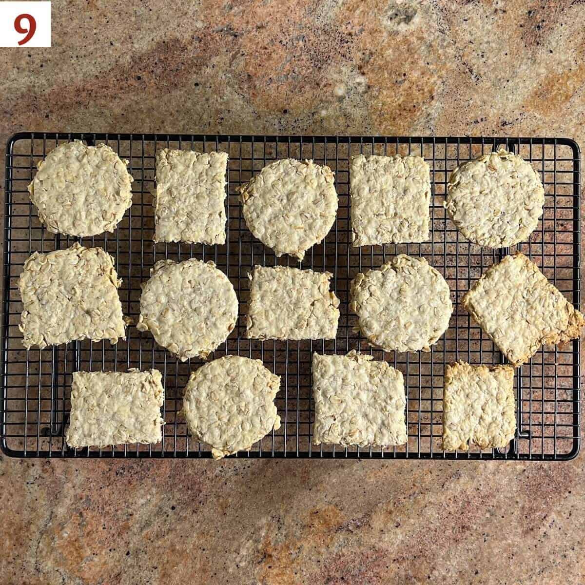 Baked bannocks on a cooling rack.