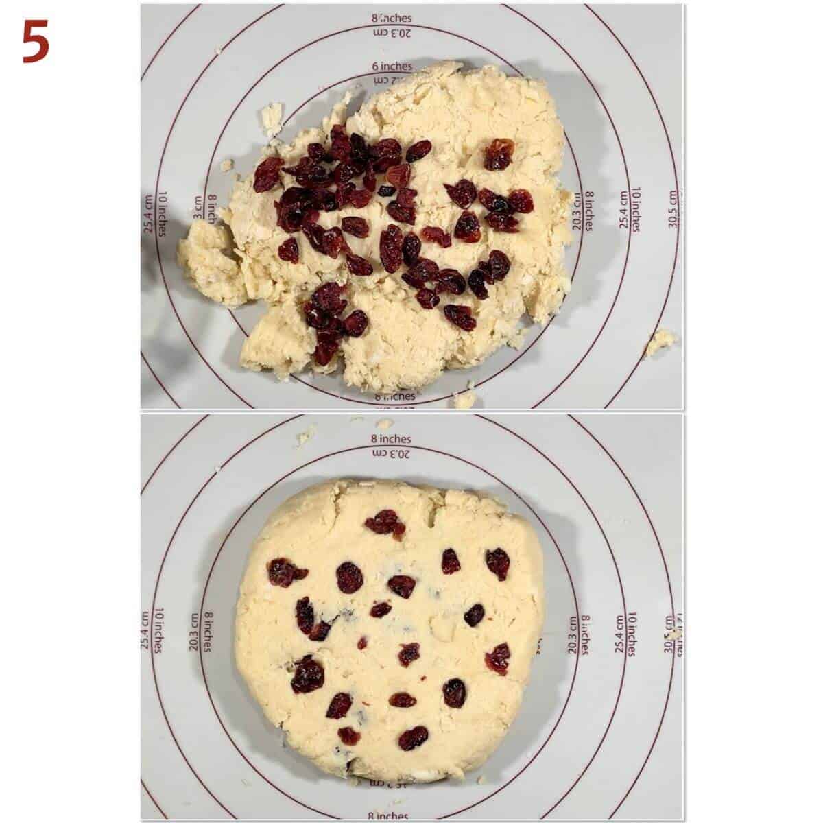 Collage of kneading dried cranberries into scone dough.