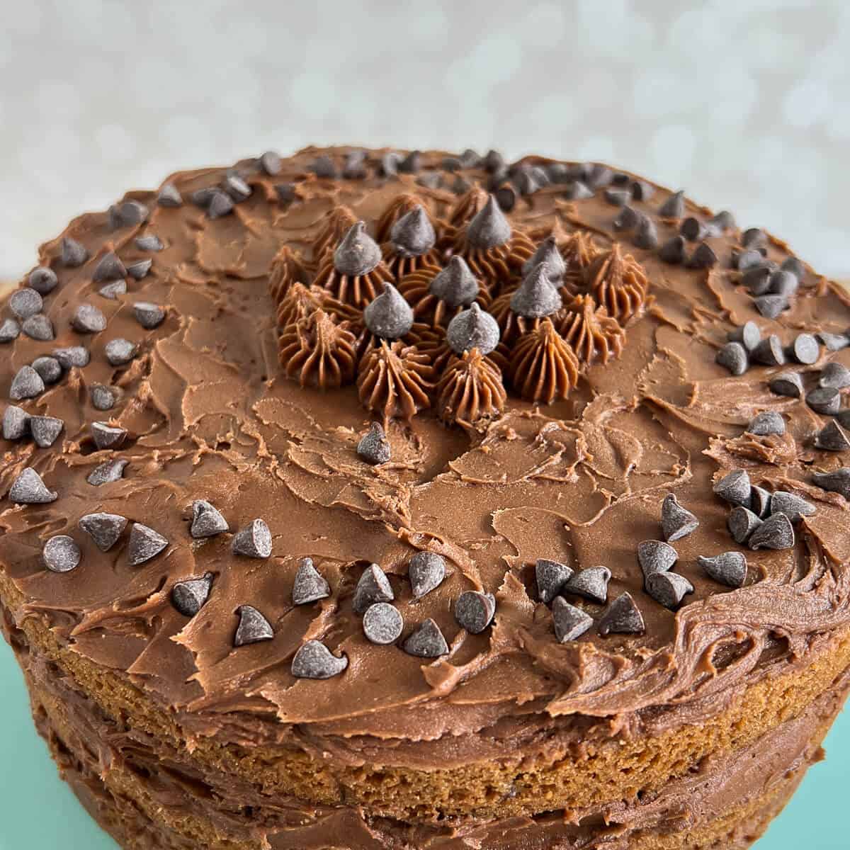 Detail of top of chocolate chip cookie cake frosted with dark chocolate buttercream.