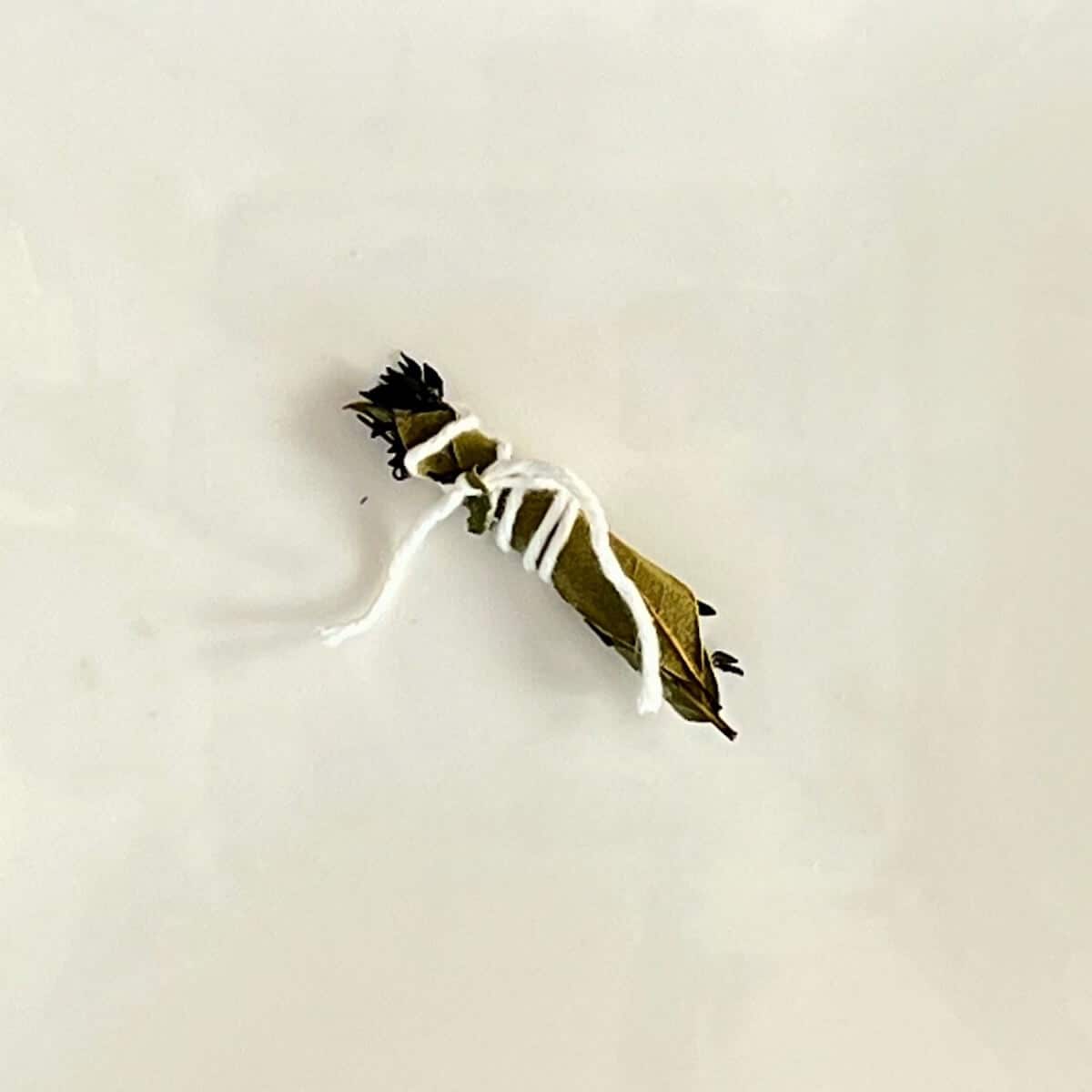 Thyme and bay leaves tied together in a bundle on a white plate from overhead.