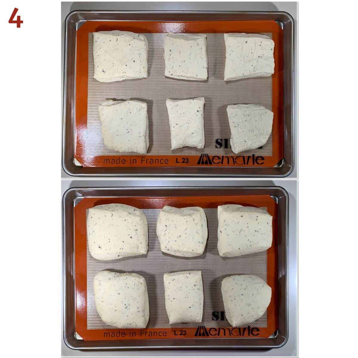 Collage of roll dough on a baking pan before and after the second rise.