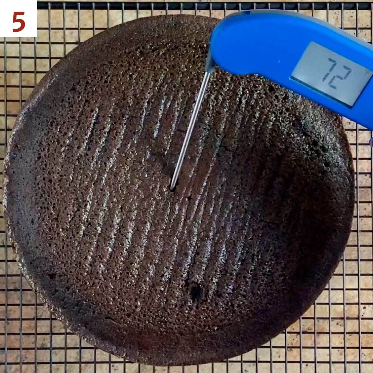 Reading the temperature of chocolate cake on a wire rack.