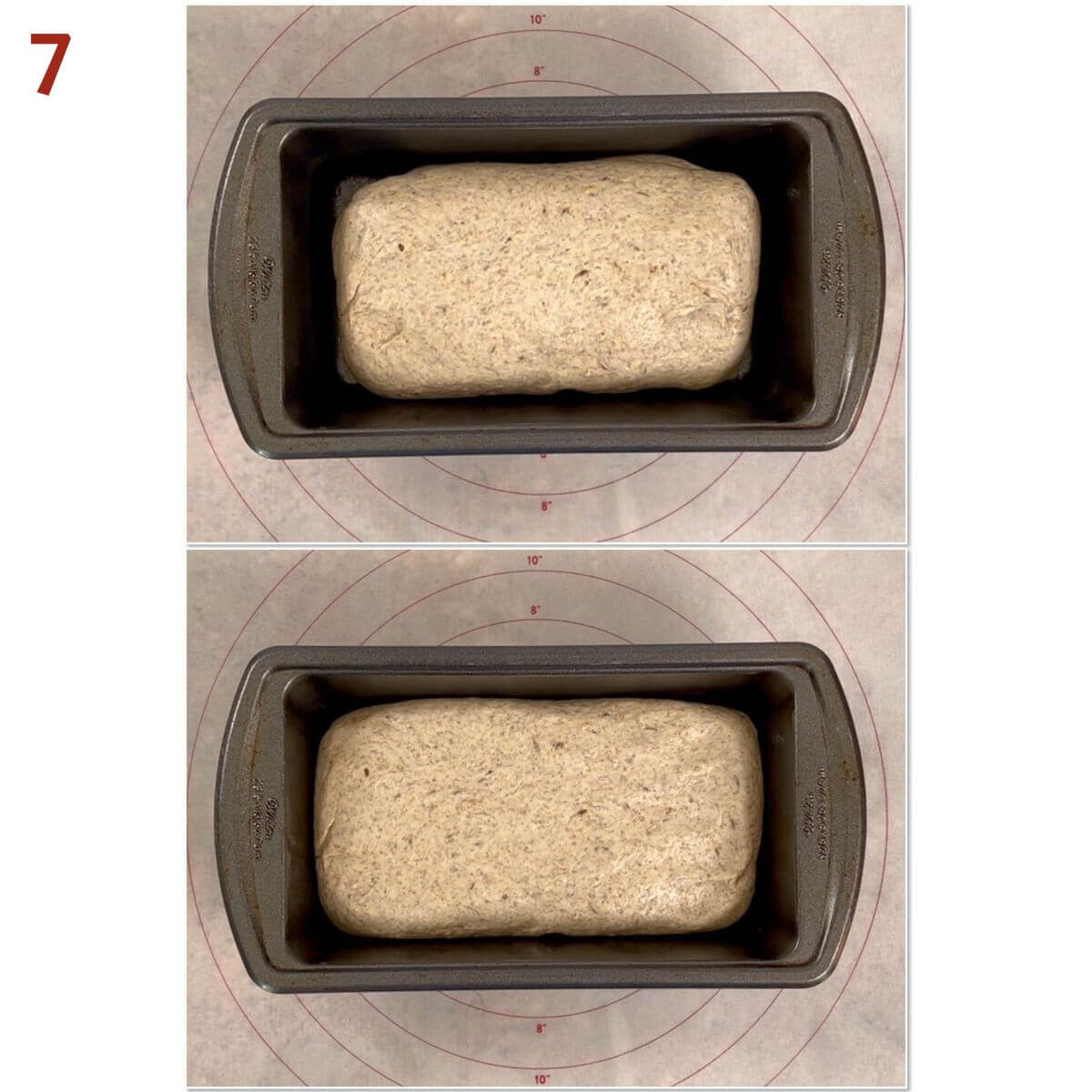 Collage of pressing shaped loaf in a loaf pan.