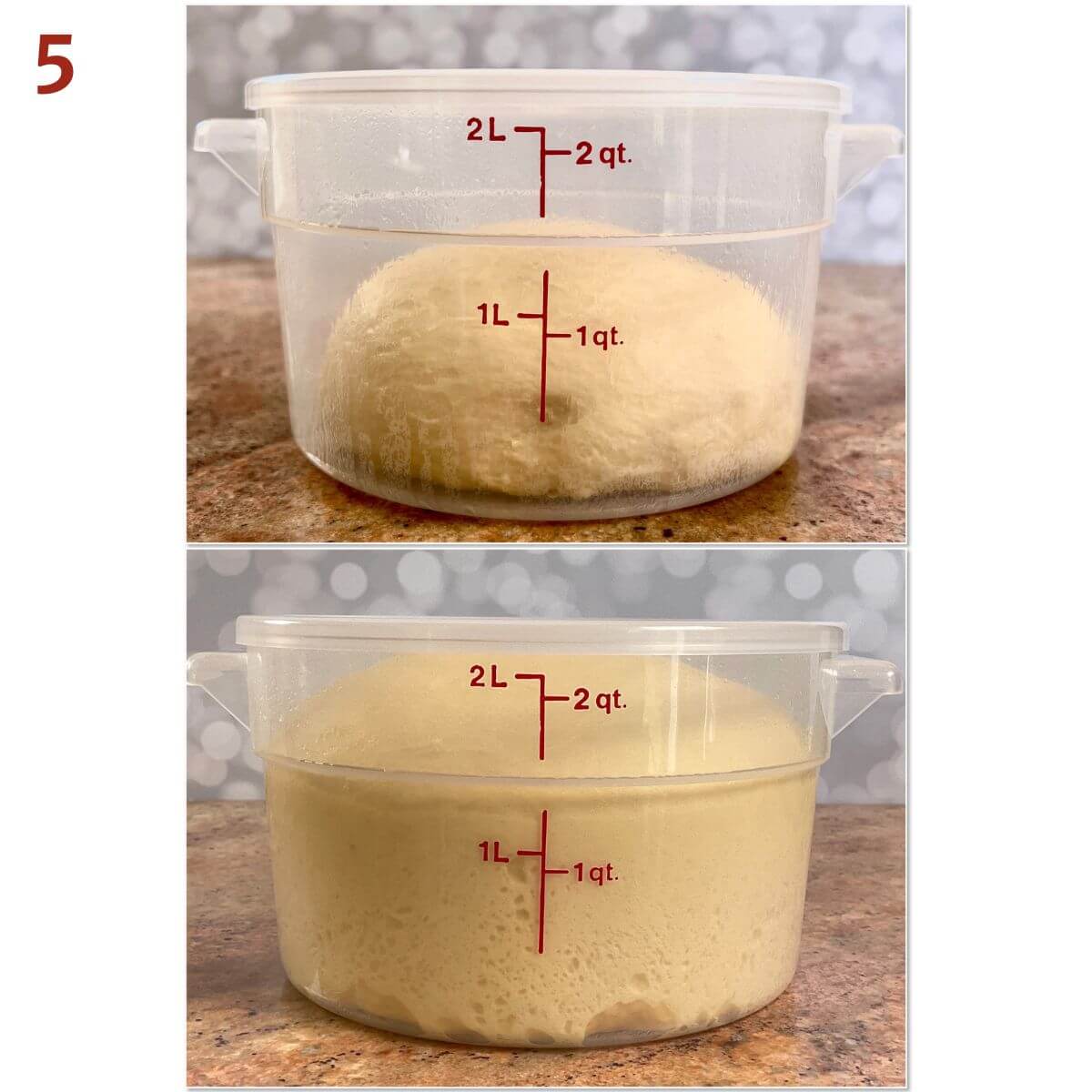 Collage of before and after the dough's first rise.
