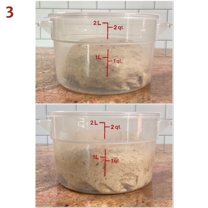 Collage of sourdough rye bread in a proofing bucket before and after first rise.