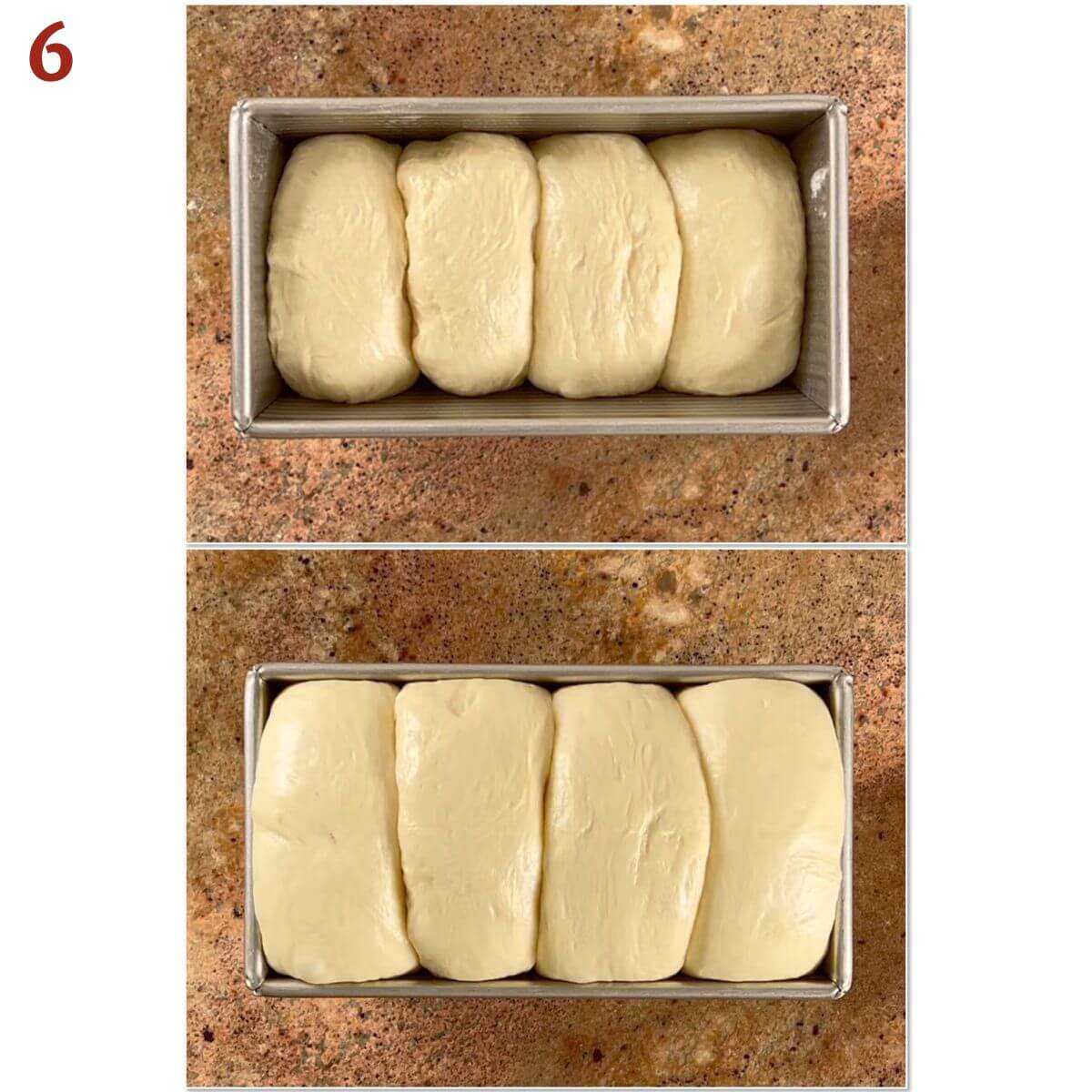 Collage of shaped loaf before and after second rise.