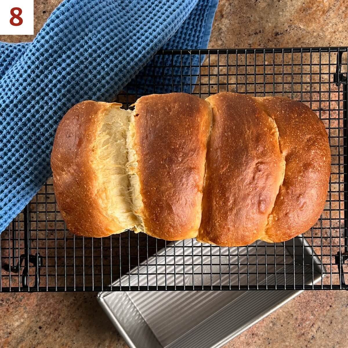 Whole sourdough discard sandwich bread on a cooling rack above a loaf pan from overhead.