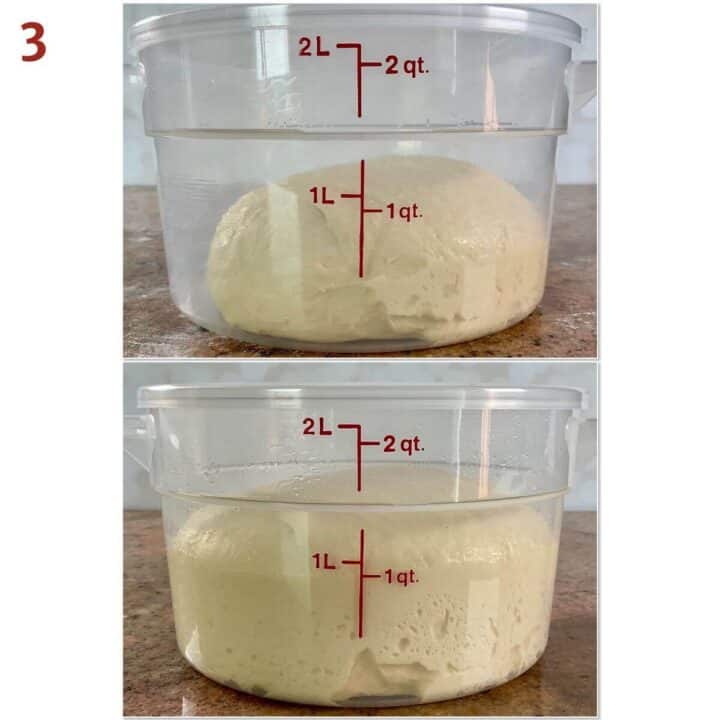 Collage of the dough in a clear bowl before and after the first rise.